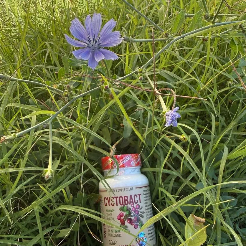 Cystobact — Pakkauksen kuva 3